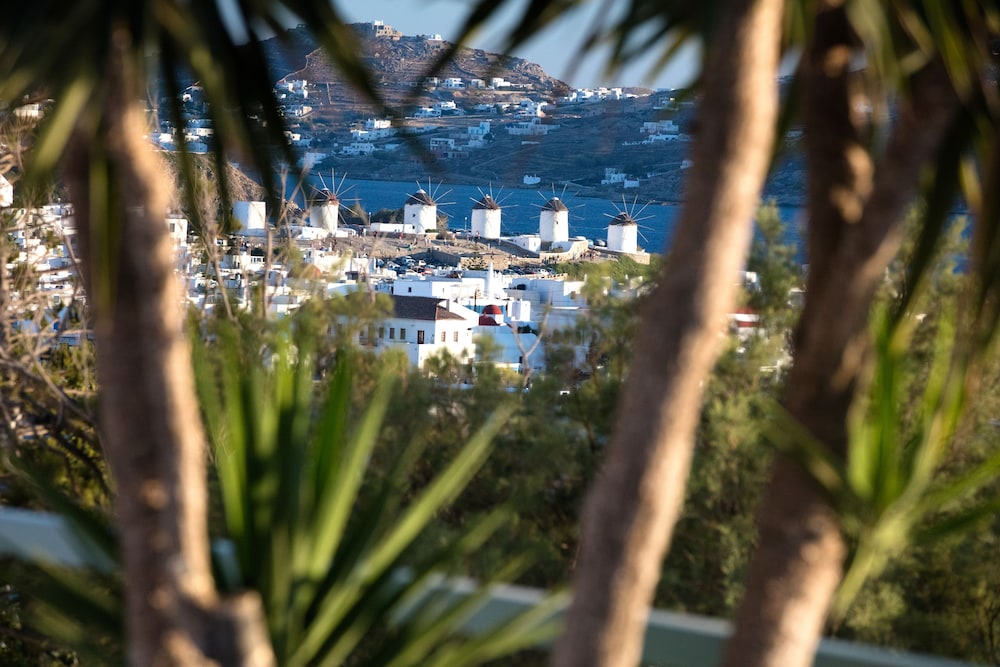 Omiros The Feelgood Hotel 41/50