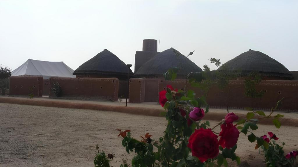 BISHNOI VILLAGE CAMP AND RESORT - 22 KM from Jodhpur 8/13