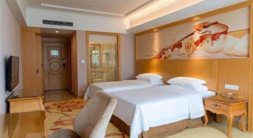 Vienna Hotel (Shenzhen Window of the World, Qiaocheng East Metro Station) 32/59
