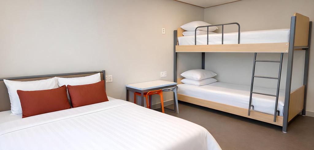 Plus, Family, Bunk Bed