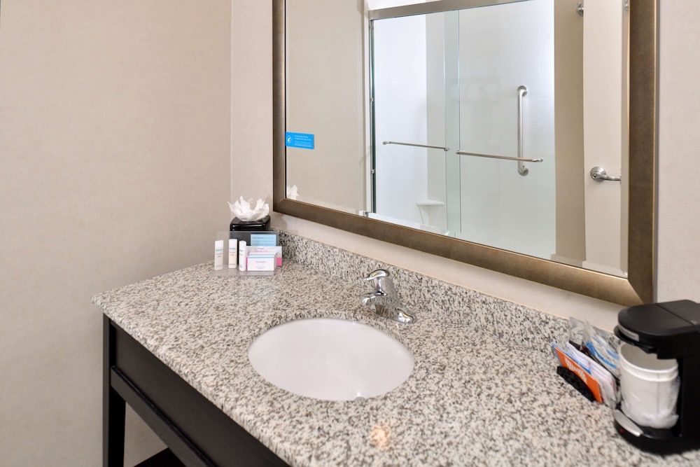 Hampton Inn Suites Orlando Downtown South Medical Center 20/46