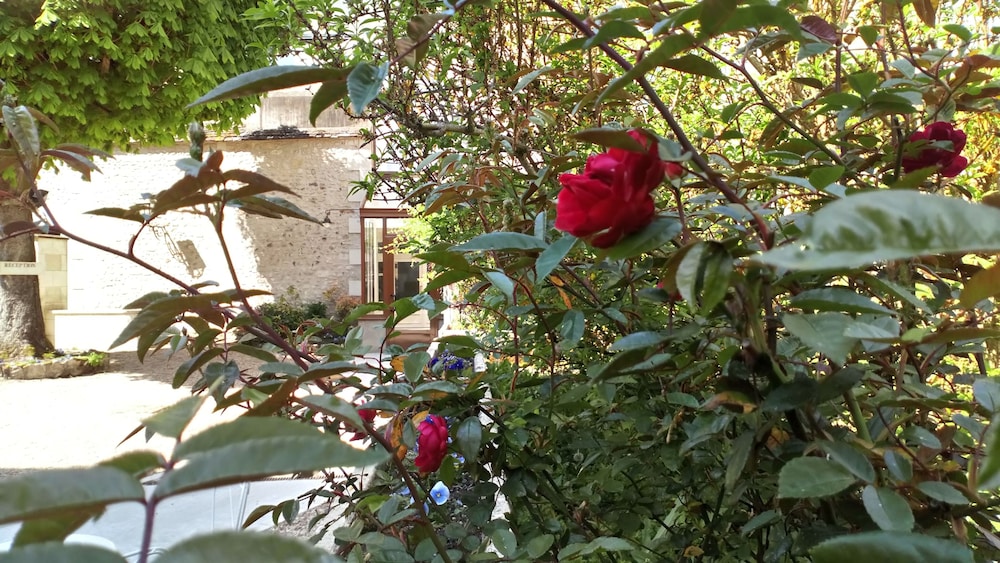 Le Grand Monarque 40/50