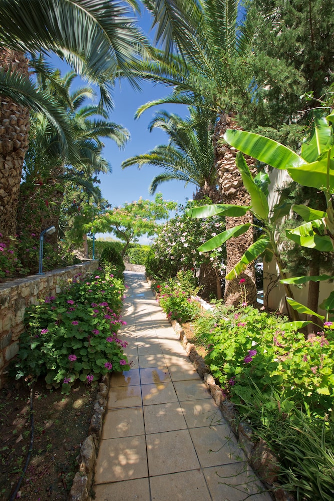 Rethymno Mare And Waterpark 43/50