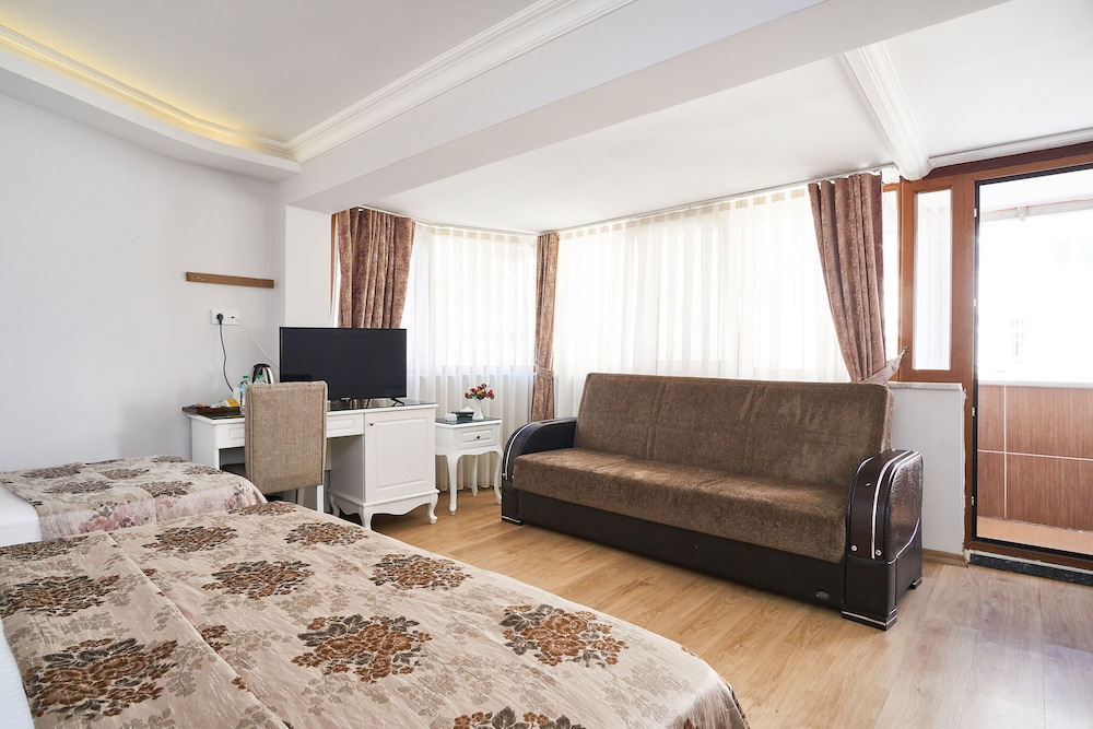 Hotel Beyazit Palace 24/64