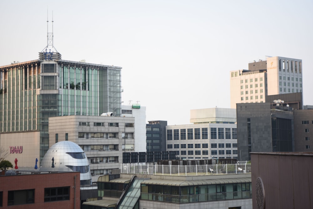 Namsan Forest In Myeongdong 5/56