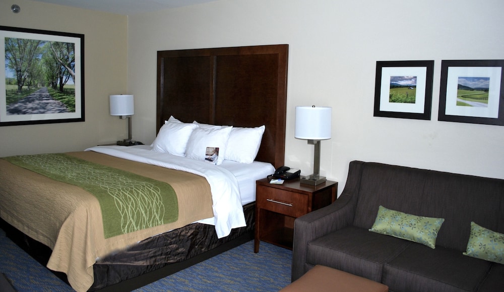 Comfort Inn Woodstock Shenandoah 19/39