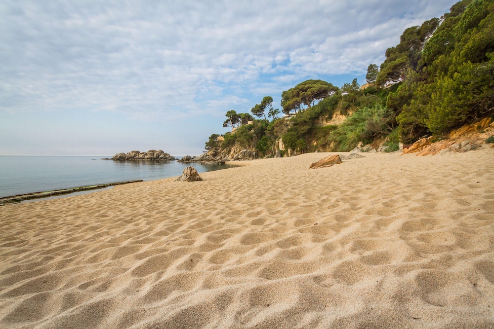 htop Platja Park 44/50