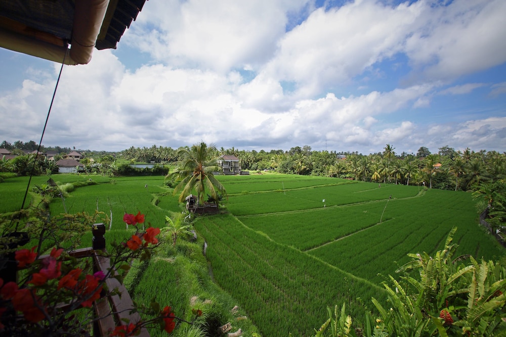Satori Villas 20/50