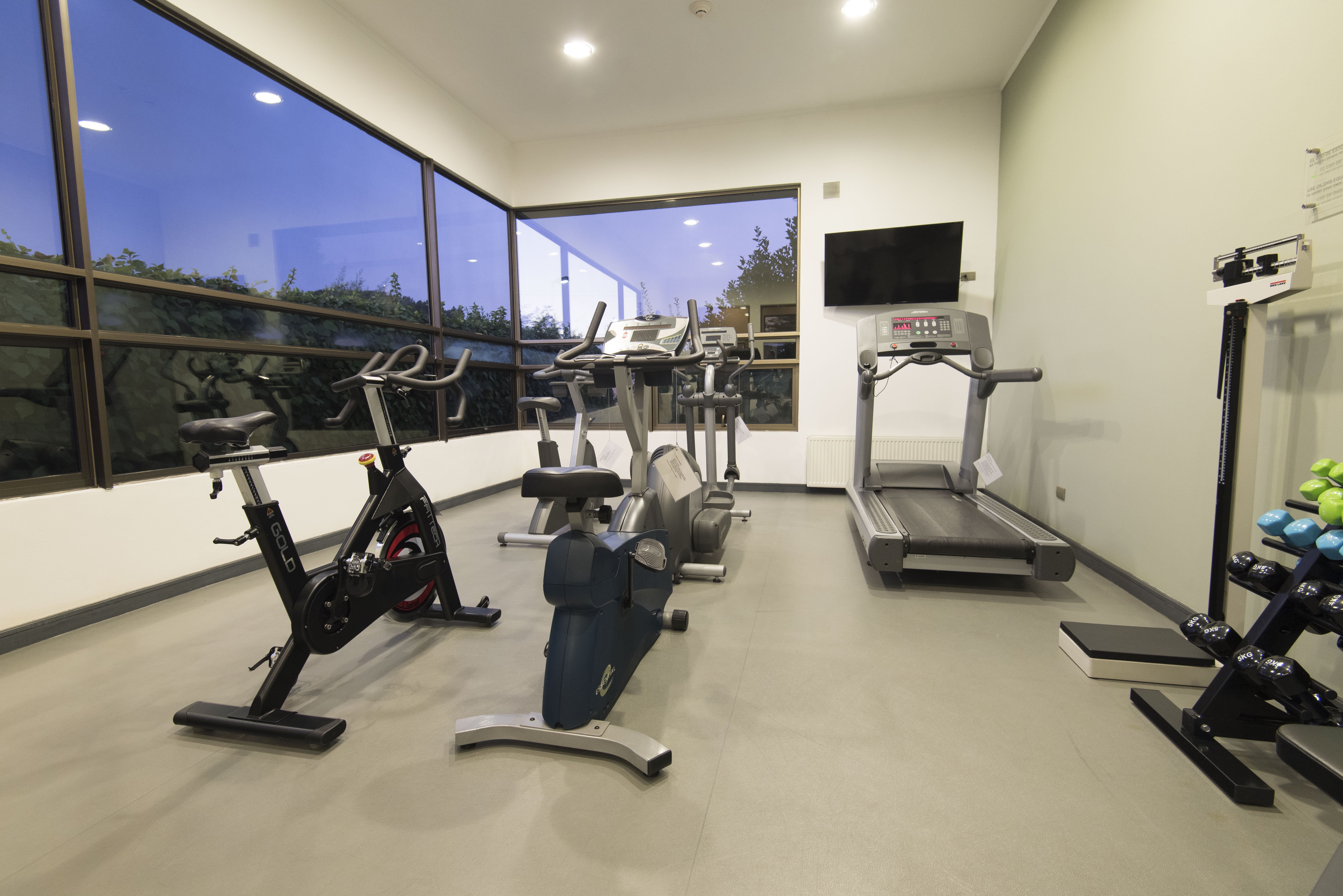 HOLIDAY INN EXPRESS TEMUCO 42/79