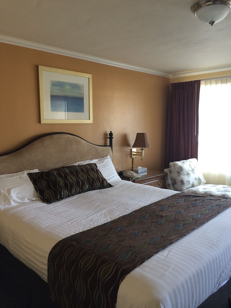 Oasis Inn & Suites 14/50