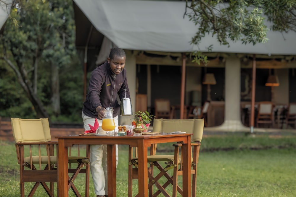 Elephant Pepper Camp 41/48