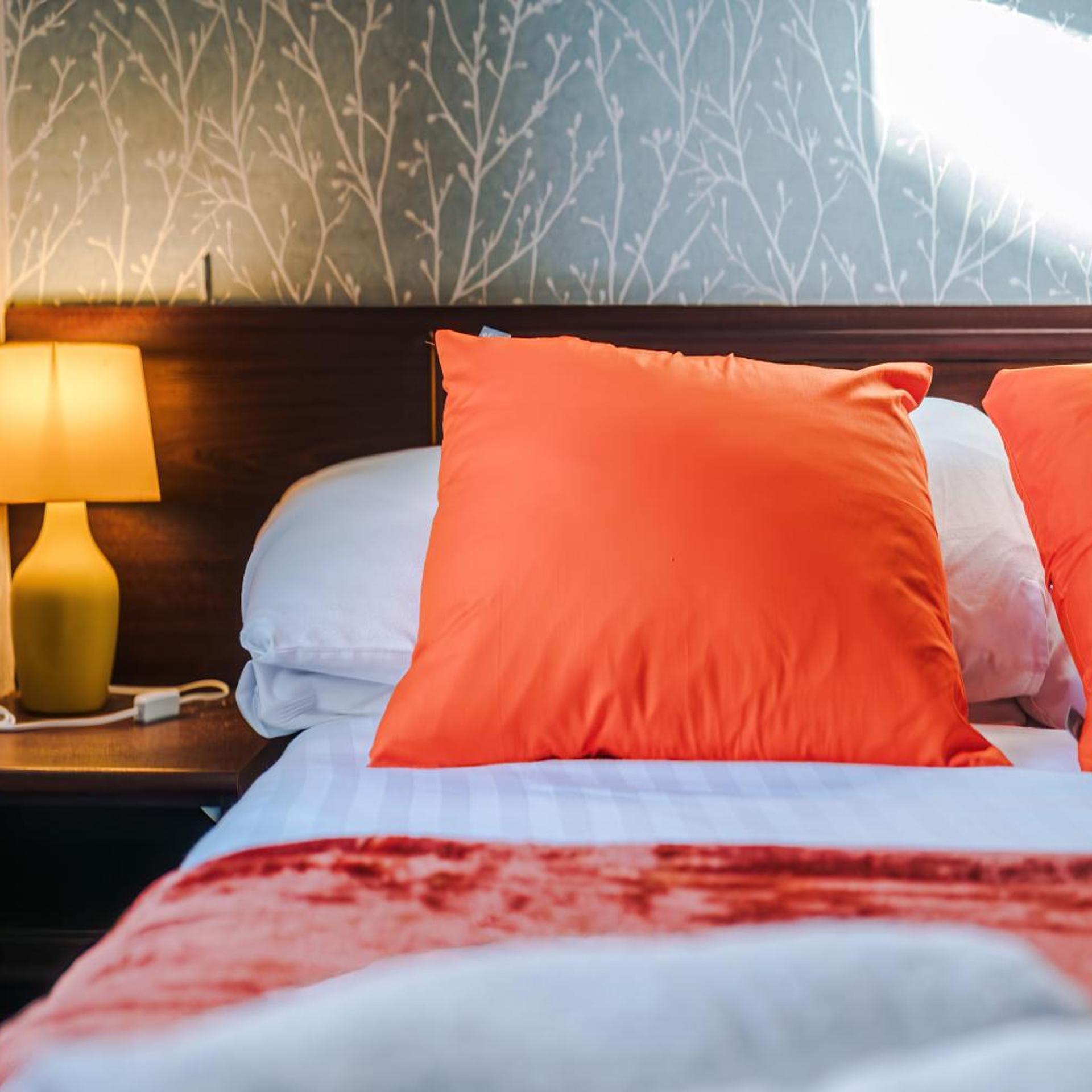 OYO Sonora Park Hotel 45/62