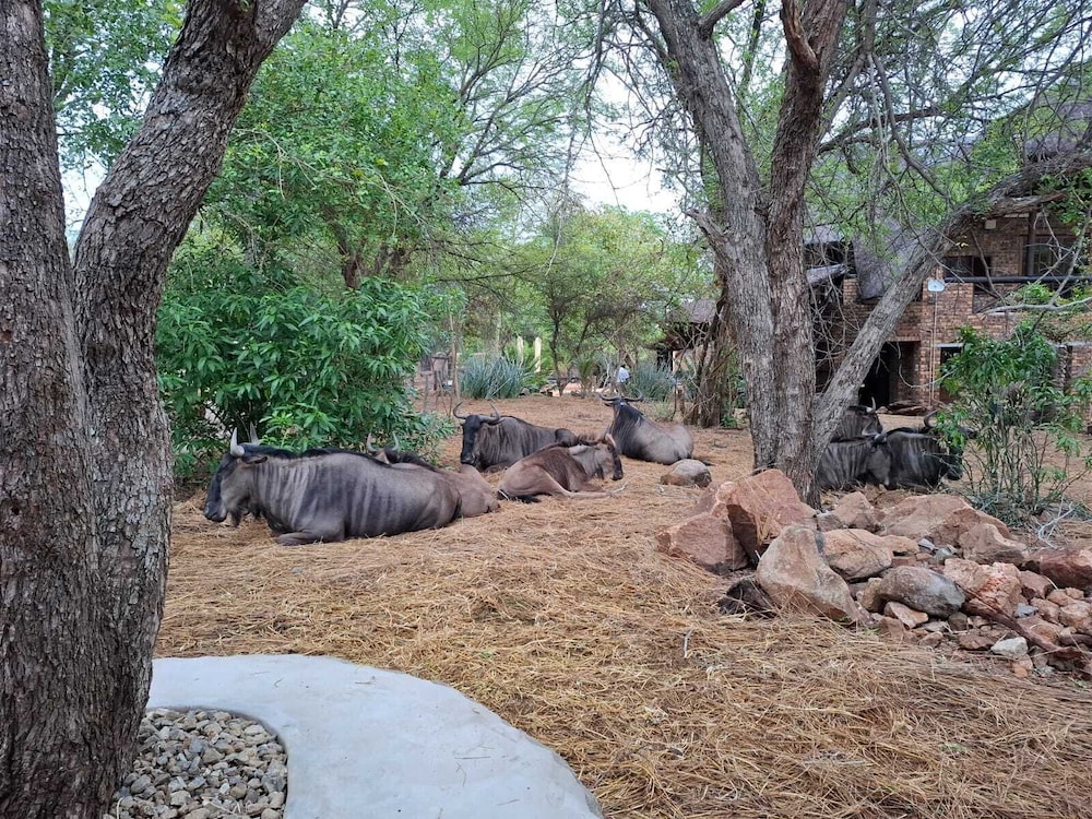 Kruger Riverside Lodge 34/50
