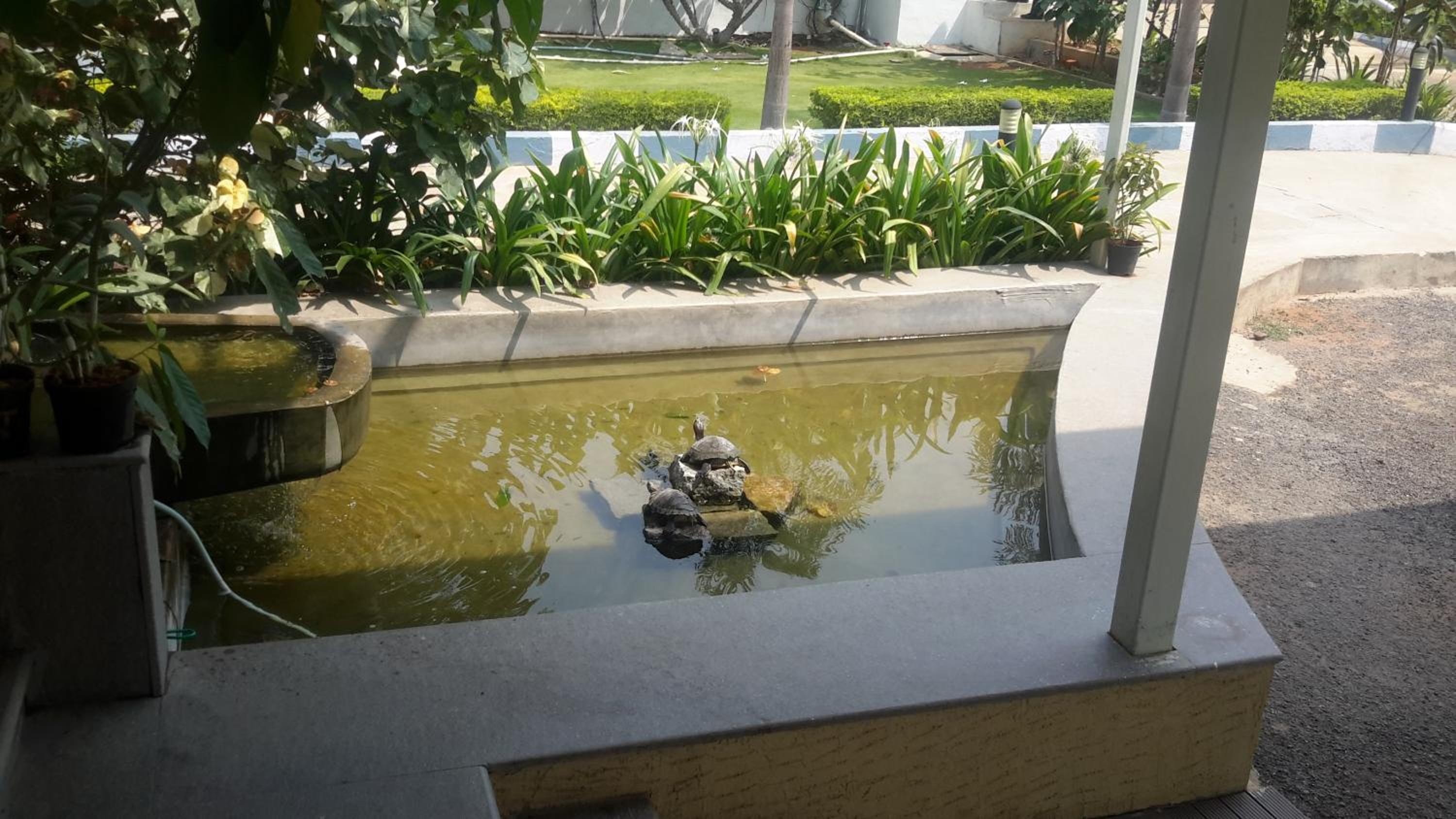 Mrugavani Resort and Spa 40/42