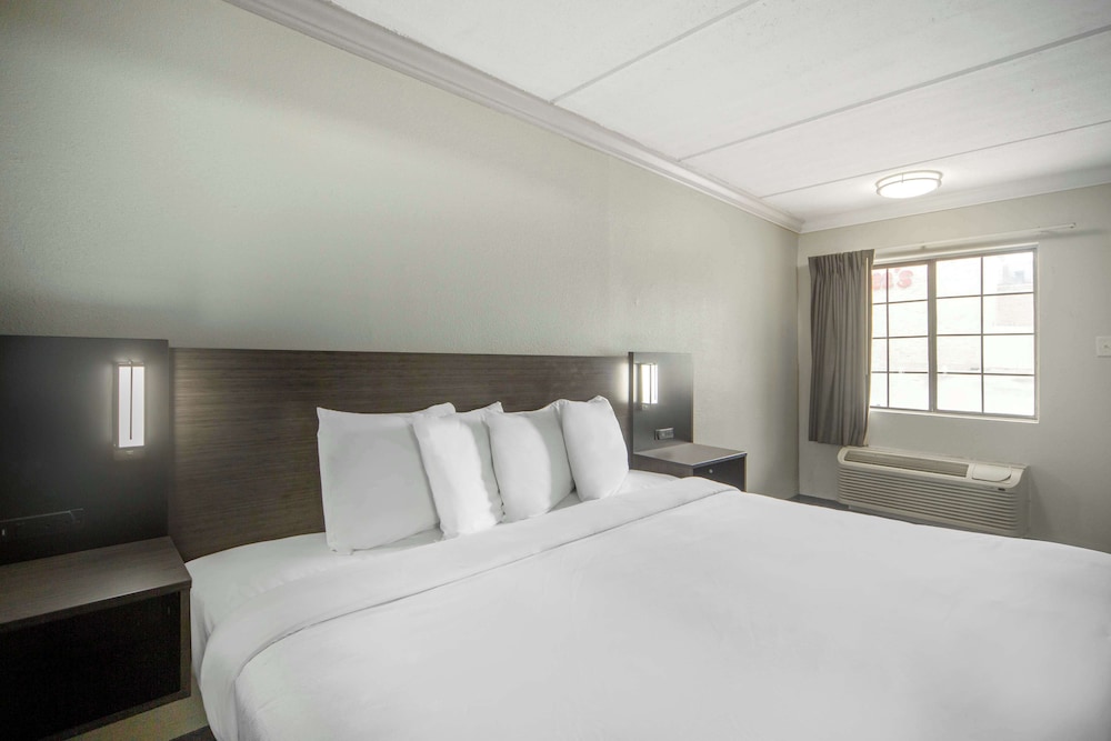 DELUXE, KING BED