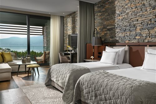 Swim Up, Lagoon, Deluxe, Double or Twin Bed, Partial Sea View