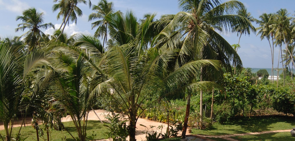 Wunderbar Beach Club Hotel 38/49