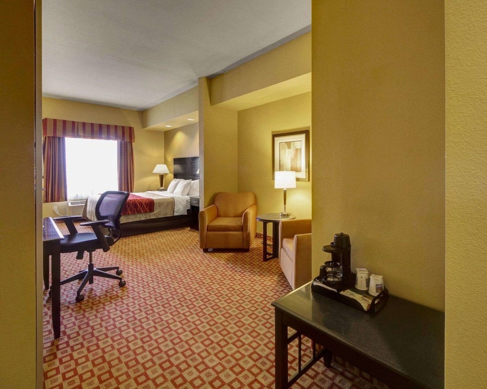 Comfort Inn & Suites Donna Near I-2 31/44