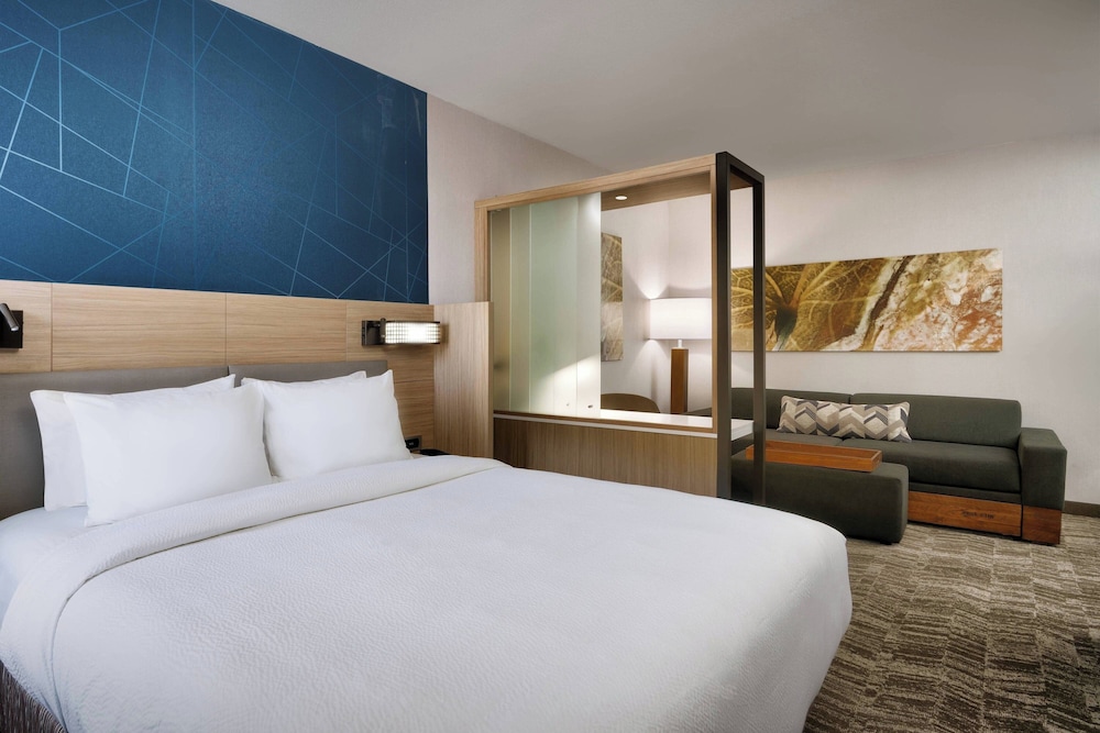 SUITE, KING BED, ACCESSIBLE