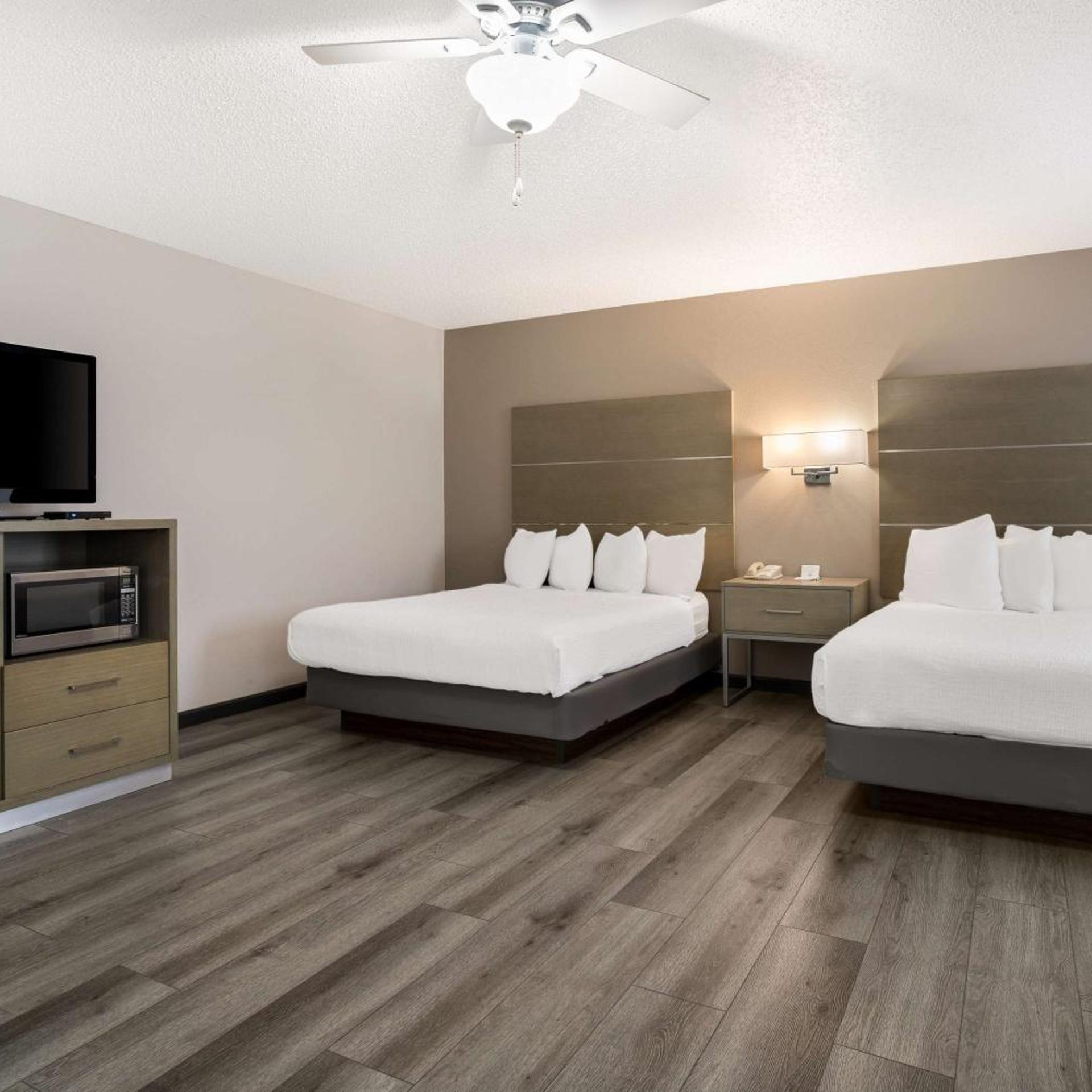 Room, King Bed, 2 Queen Beds, Large