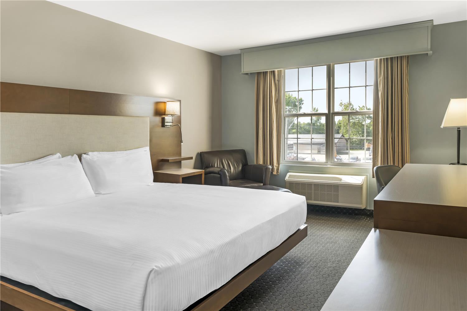 Room, King Bed