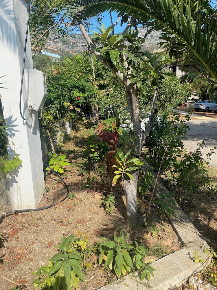 Blue Bay Beach Hotel 37/50