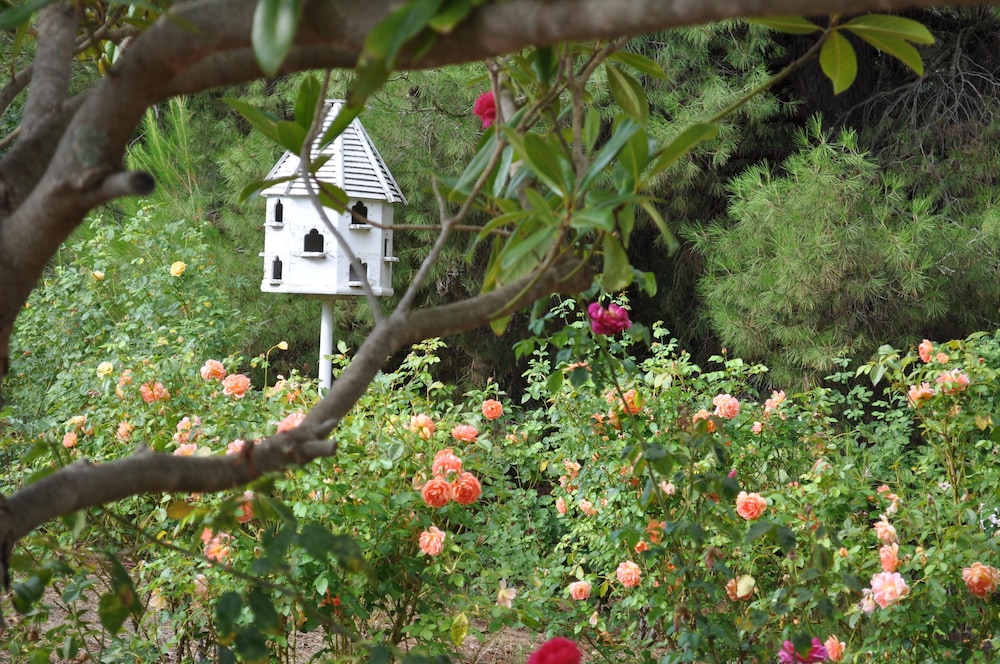 The Lyndoch Motel 45/50