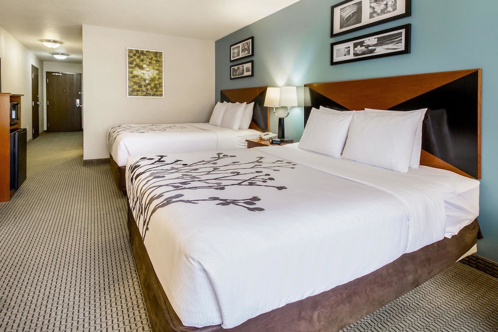Sleep Inn & Suites Rapid City 7/35
