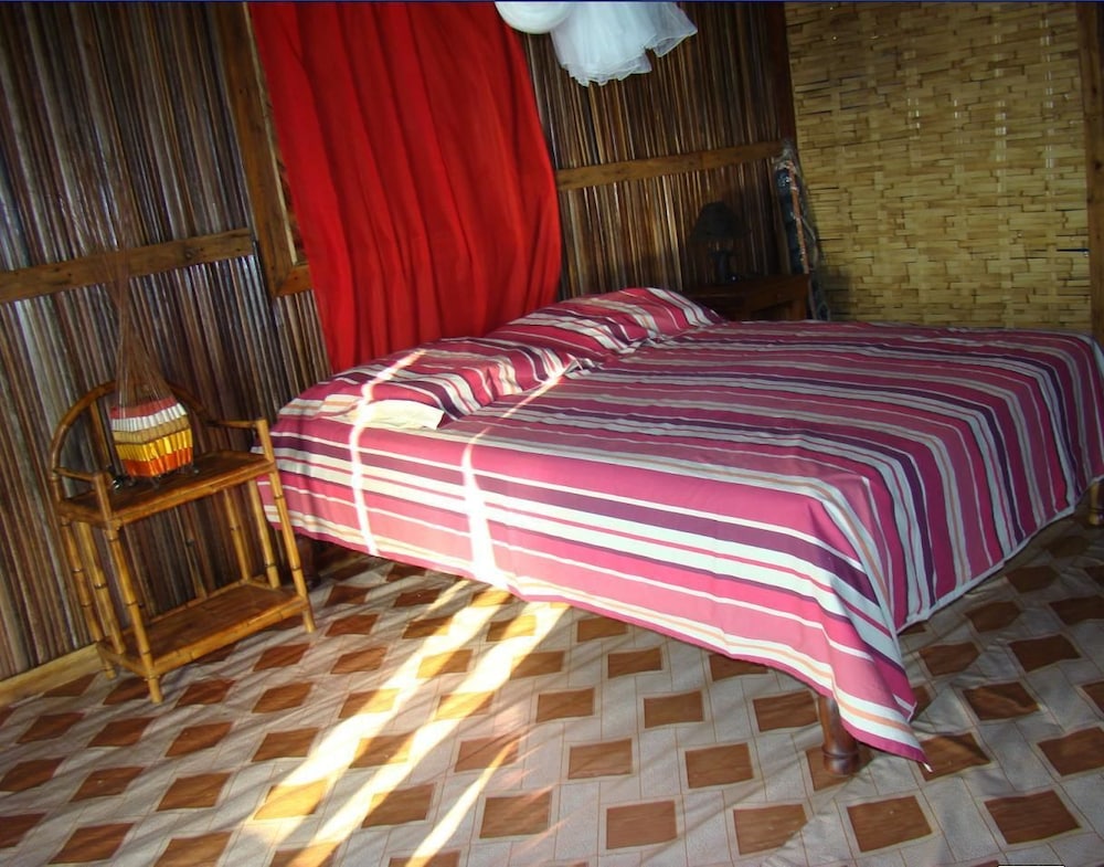 Reva Castel 11/50