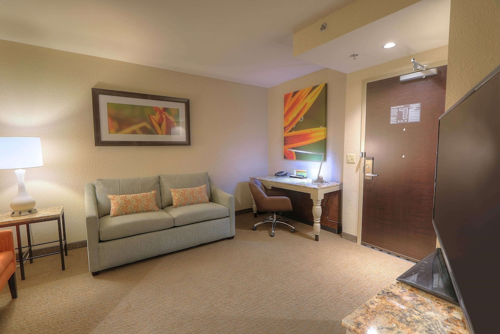 Hilton Garden Inn Pigeon Forge 32/50