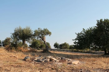 Tenuta Zannafondo 32/41