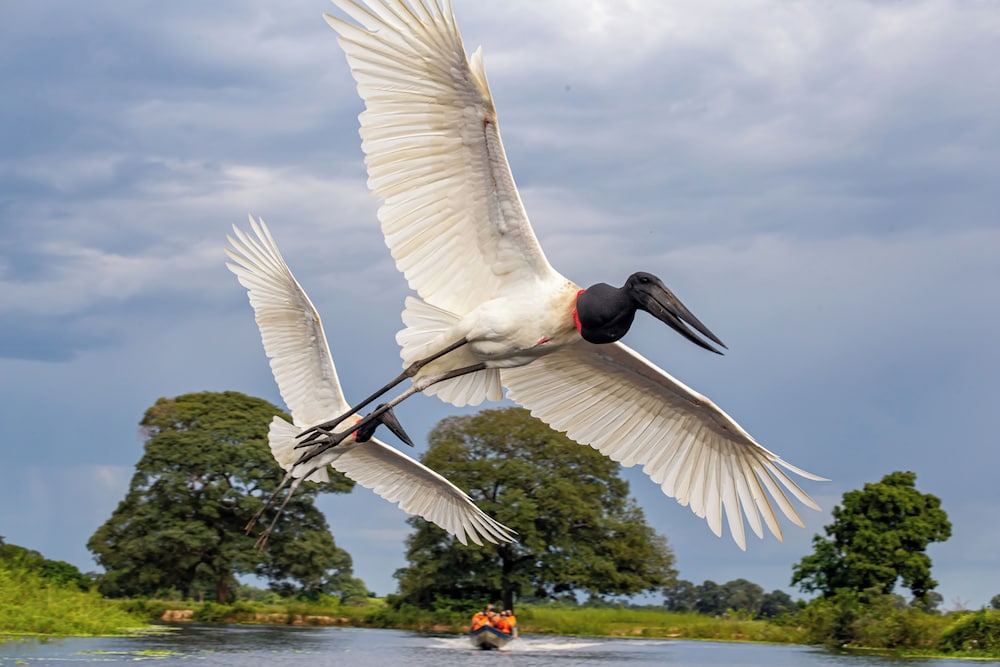 Pantanal Mato Grosso Hotel 55/69