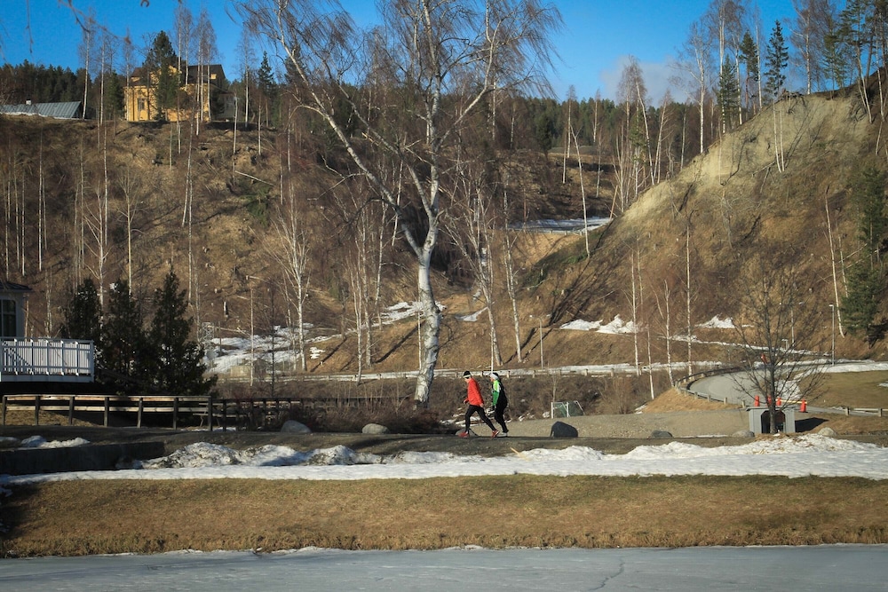 Hotel Solleftea 28/41