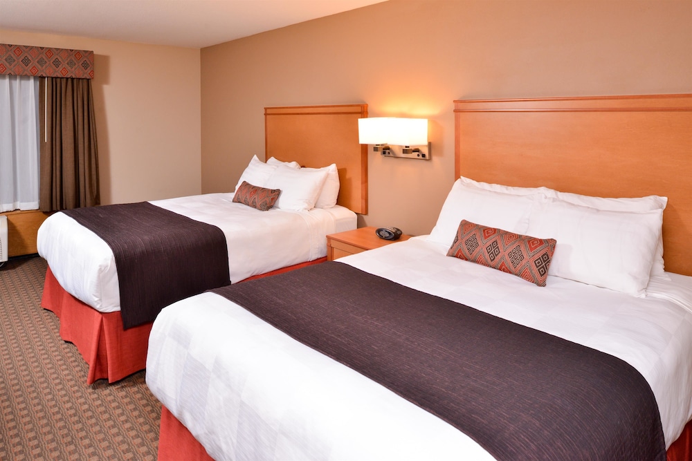 Best Western Plus Olympic Inn 19/73