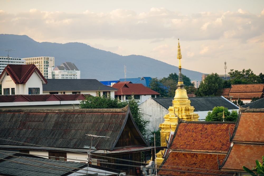 Cozy Inn Chiang Mai 6/61