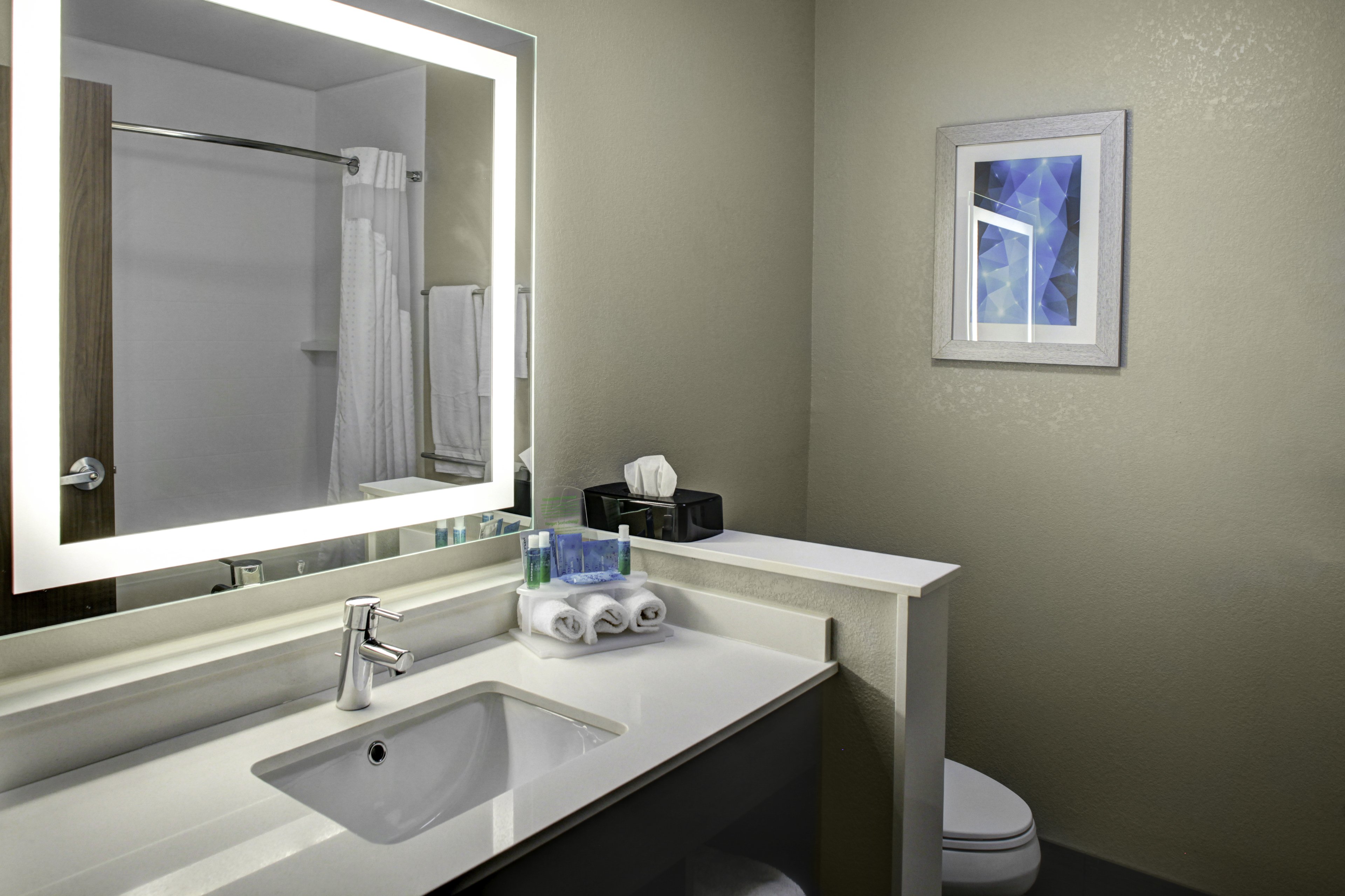 Holiday Inn Express Suites Coldwater 48/50