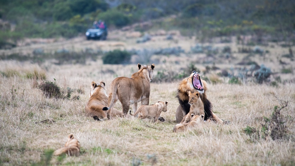 Gondwana Game Reserve 42/50