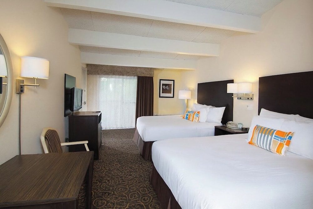 DELUXE, 2 QUEEN BEDS