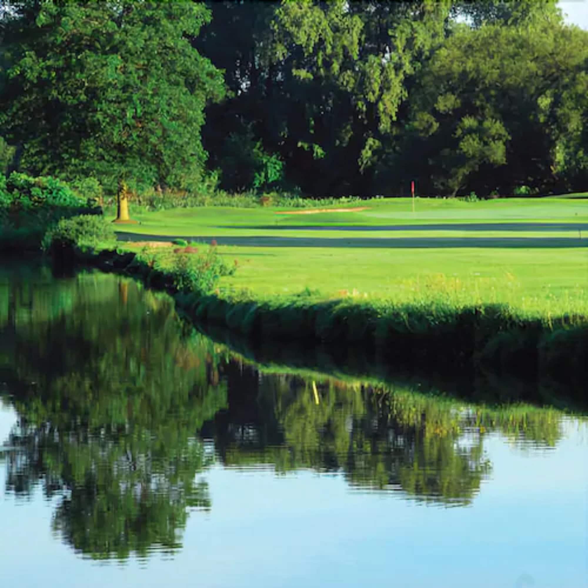 Forest Golf Club and Inn 15/19