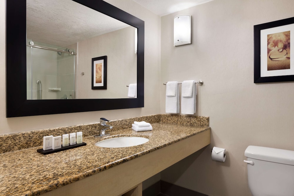 Embassy Suites By Hilton Convention Center Las Vegas 20/74