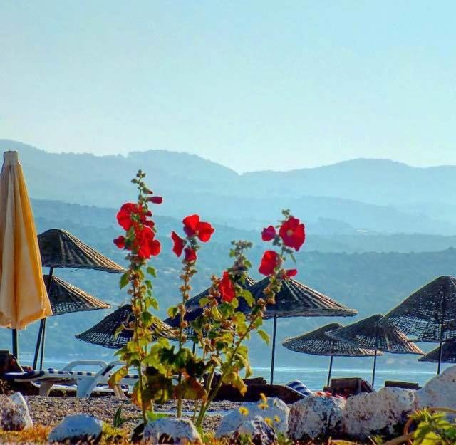 Assos Kadirga Hotel 40/50