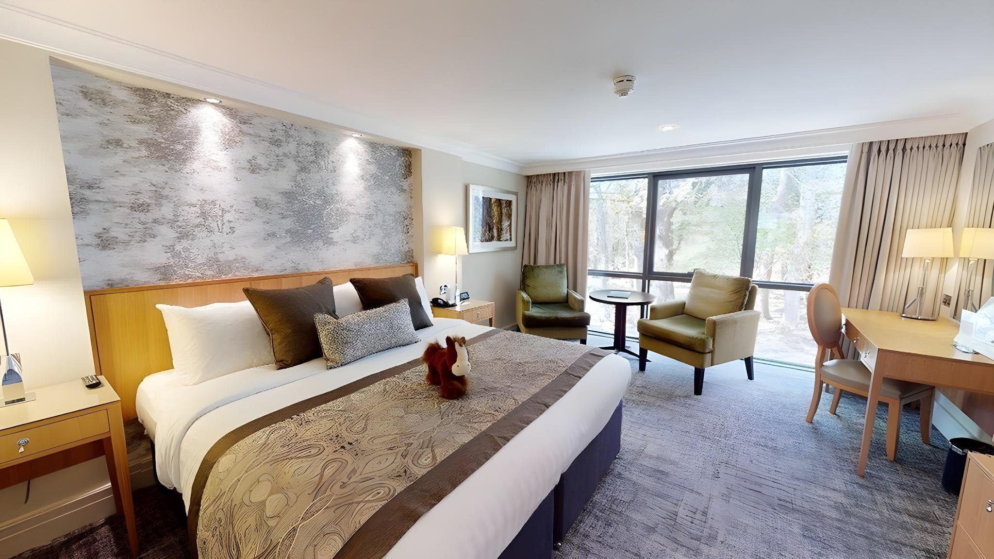 Superior, Double or Twin Bed