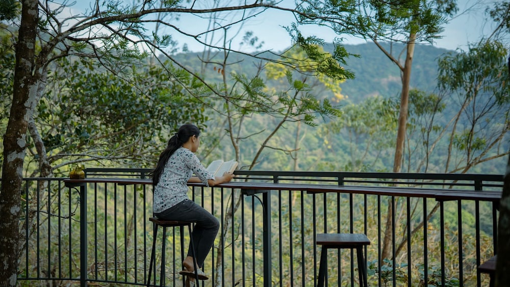 Spice Tree Munnar 49/50