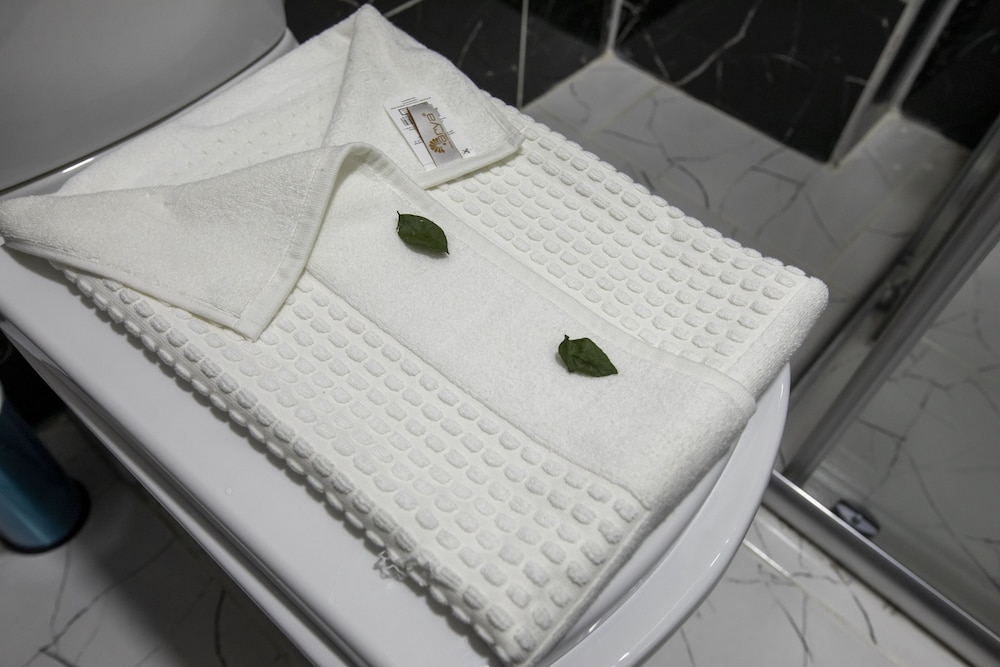 Hotel Mount Ararat 写真4
