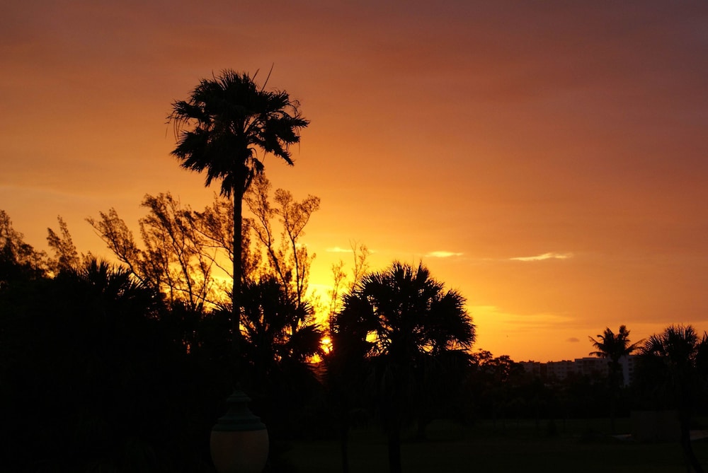 Sabal Palm House 33/41