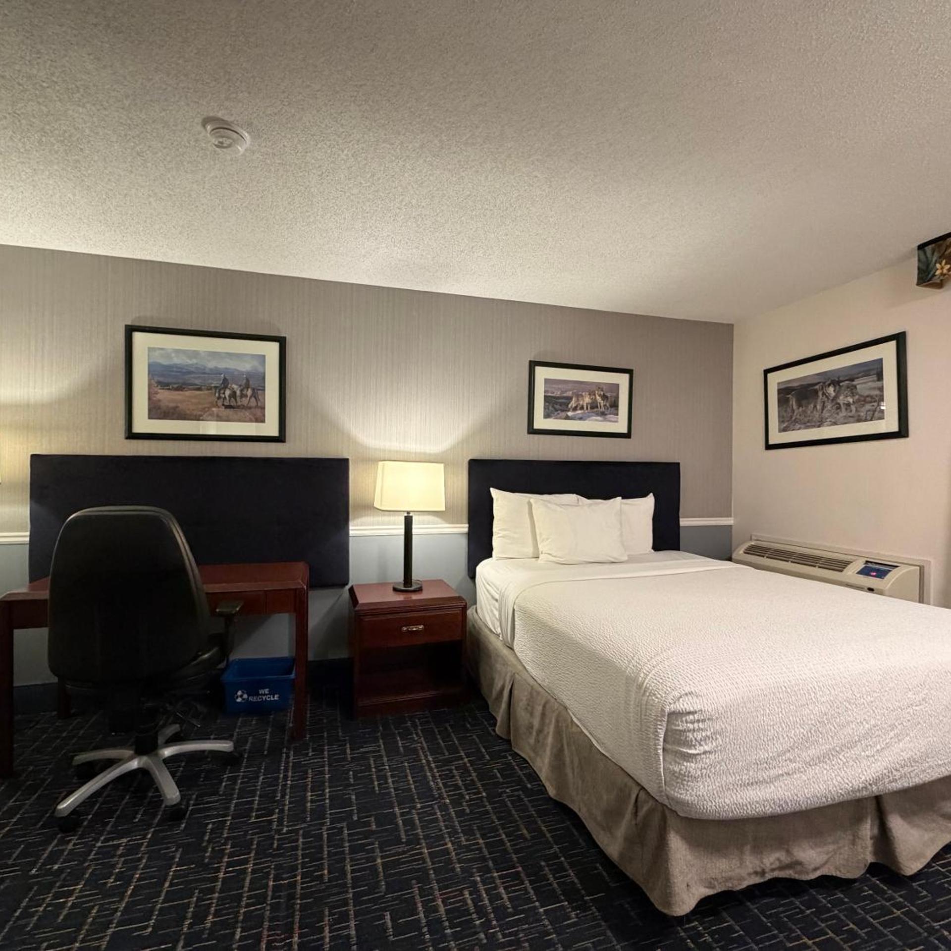 Standard, Queen Bed
