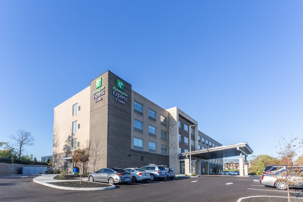 Holiday Inn Express Suites Florence Cincinnati Airport 1/37