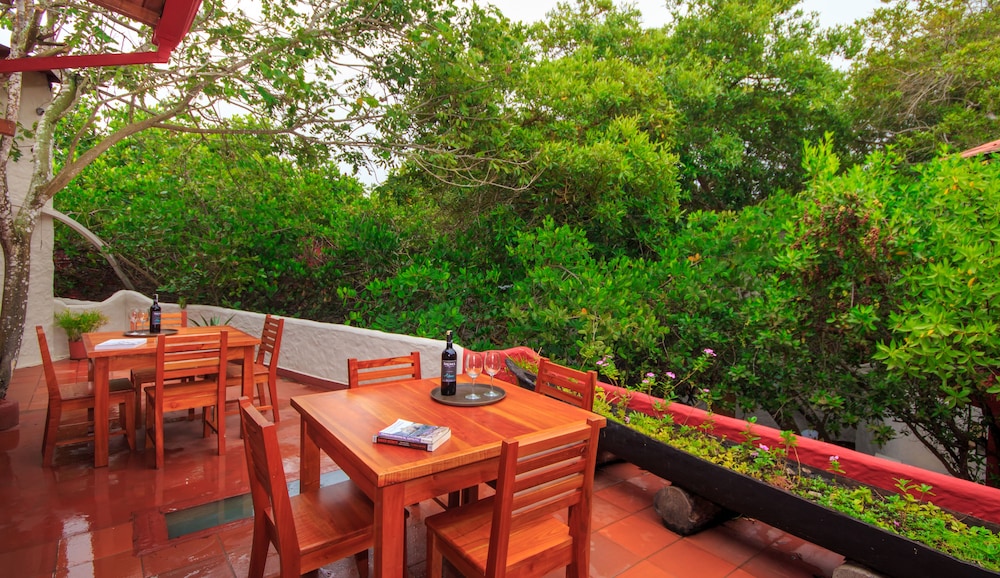 Red Mangrove Aventura Lodge 66/77