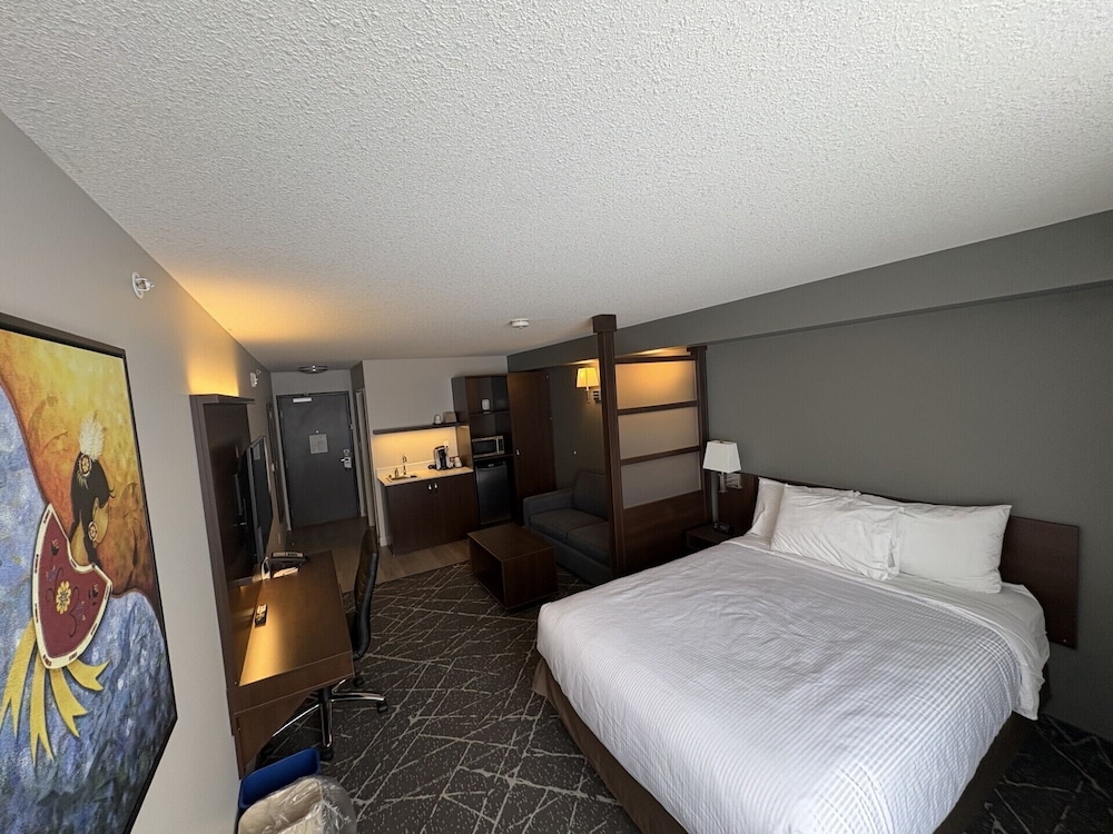 Microtel Inn And Suites By Wyndham Portage La Prairie 7/33