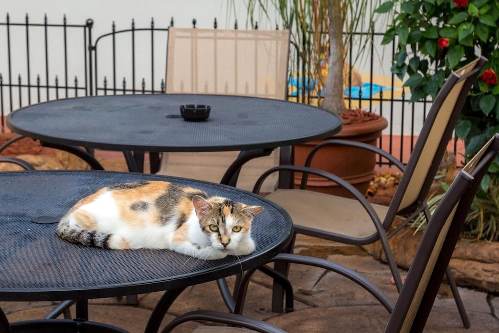 Richard s Pet Friendly Motel 26/41